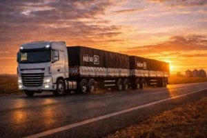Rodotrem graneleiro: o que é, capacidade e por que locar?
